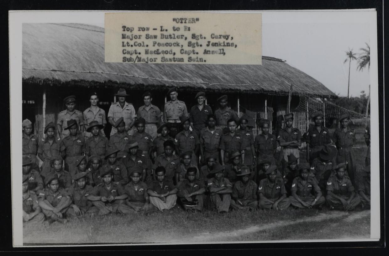 Otter group photograph